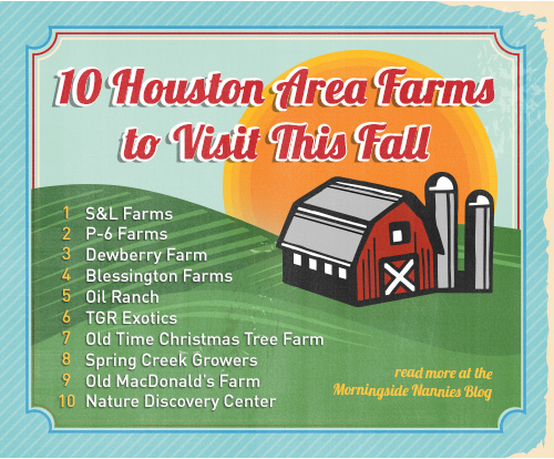 fallhoustonfarms