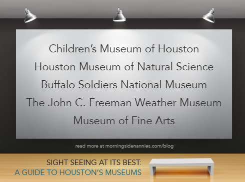 Sight-Seeing-at-its-Best---A-Guide-to-Houston’s-Museums